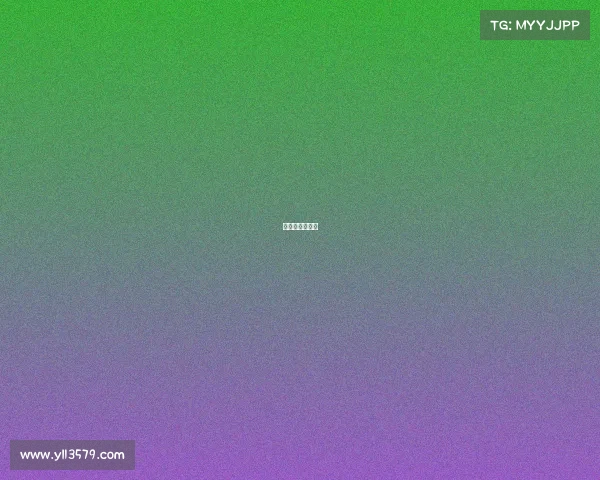 天津武术锦标赛